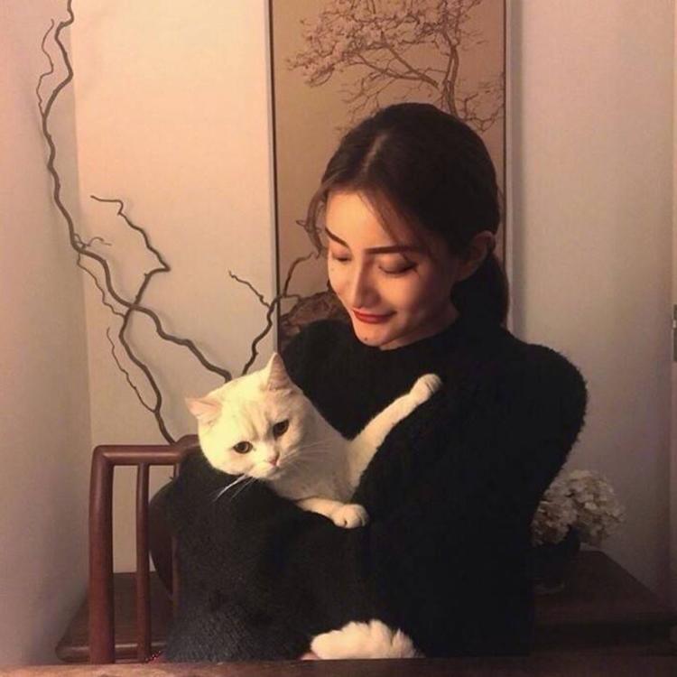 雪代巴（身份：剑心前妻、OVA《追忆篇》核心角色） - 欧美电影中字在线观看 - 平板看剧